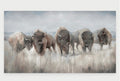 Wild Plains