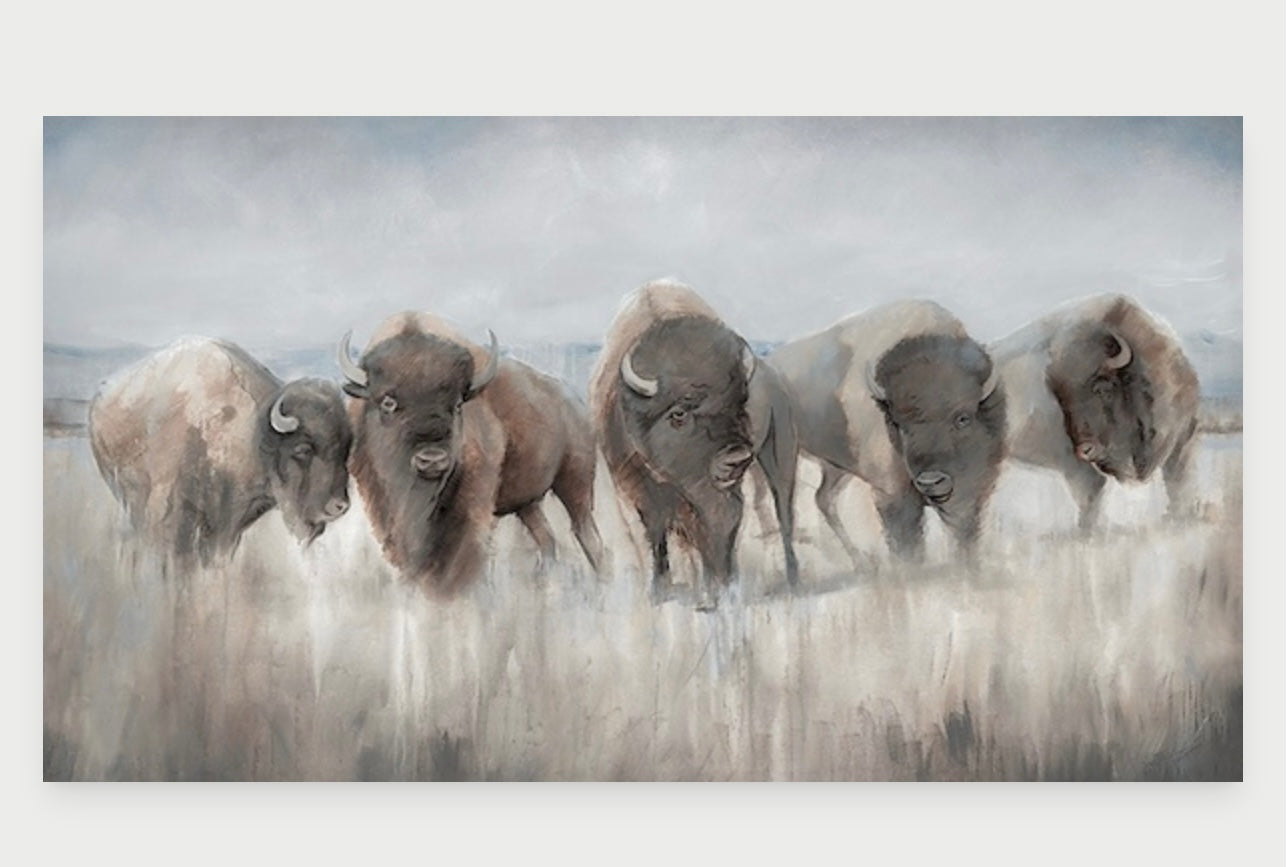 Wild Plains